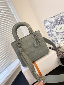 FashionReps Bags 10YAA1003