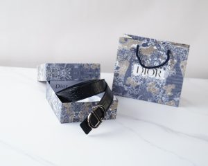 FashionReps Bags 10YAA1127