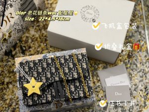 FashionReps Bags 10YAA1204