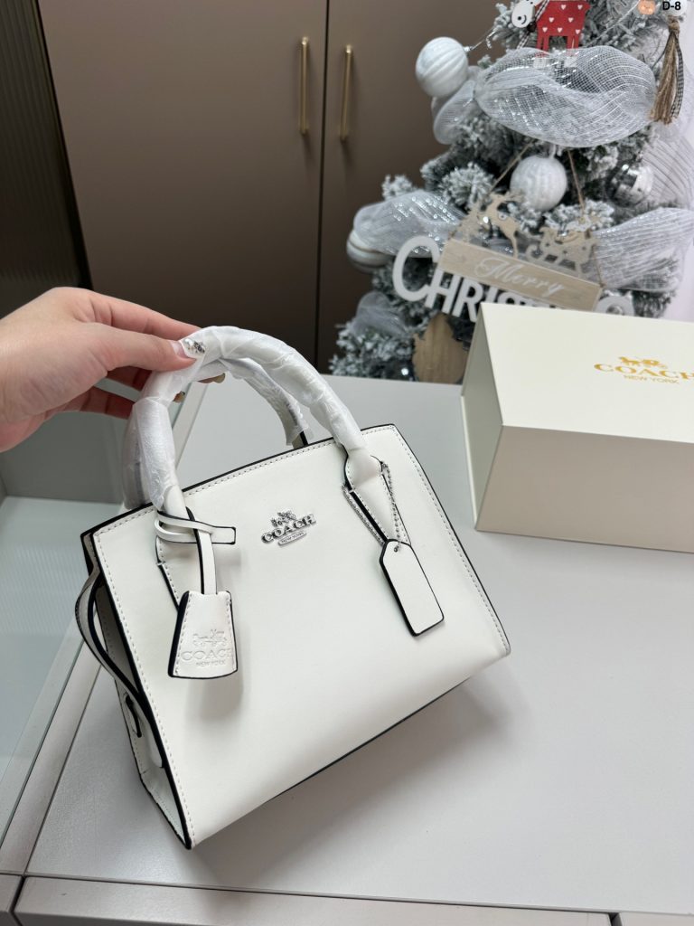 FashionReps Bags 10YAA3243