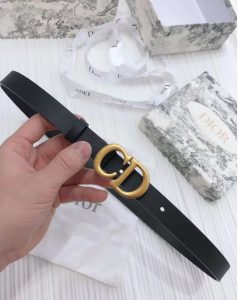 FashionReps Bags 10YAA3598