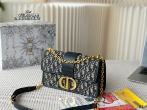 FashionReps Bags 10YAA3650